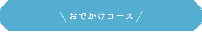 おでかけコース