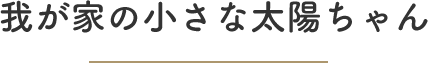 我が家の小さな太陽ちゃん