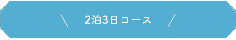 2泊3日コース