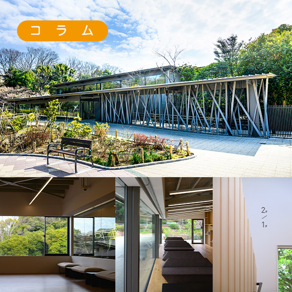 田園調布せせらぎ館の体育施設を撮影しました